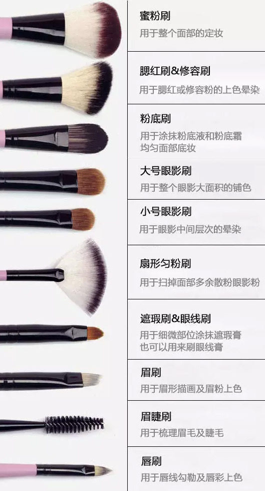 91免费版网址名稱大全